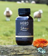 HERO Sheep Placenta