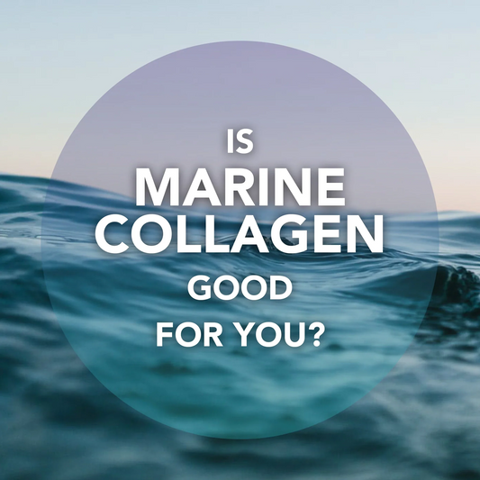 What is marine collagen? Is it good for you?