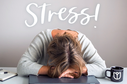 The Science of Stress Relief: How to Stay Calm and Composed